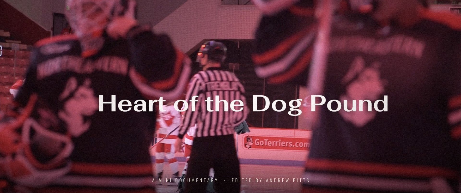 Title still from Heart of the Dog Pound: hockey players in the foreground, a referee at center ice